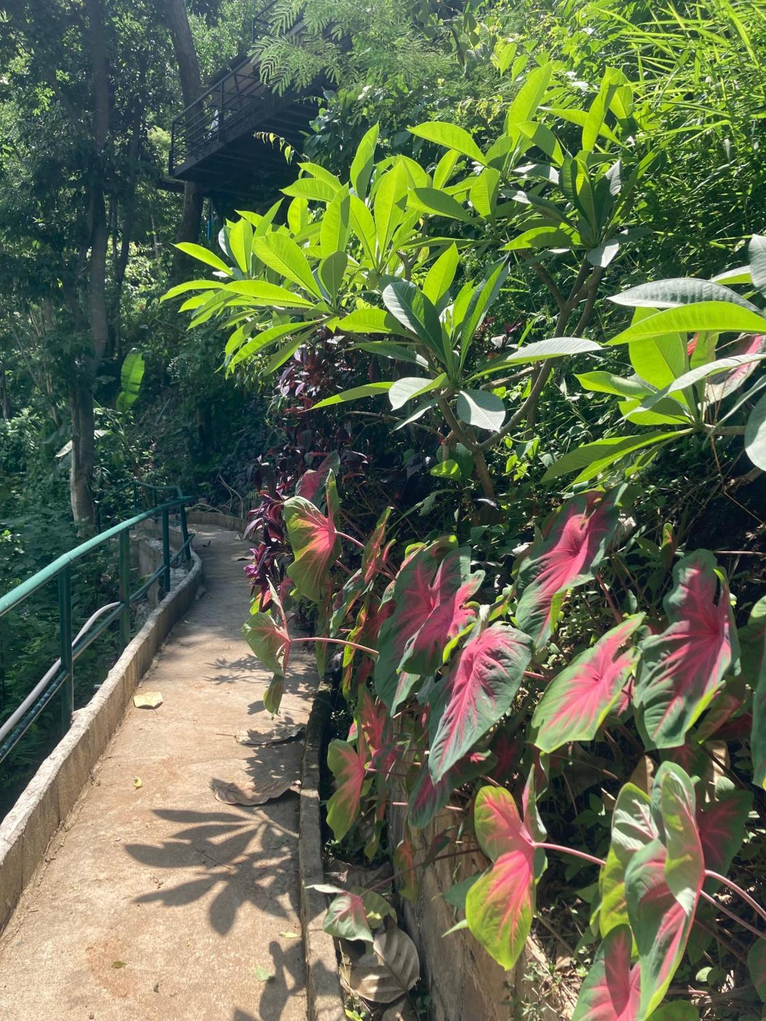 Maesa Greenery Hill Sha Mae Rim Eksteriør billede
